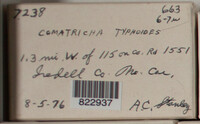 Image Associated With the Occurence